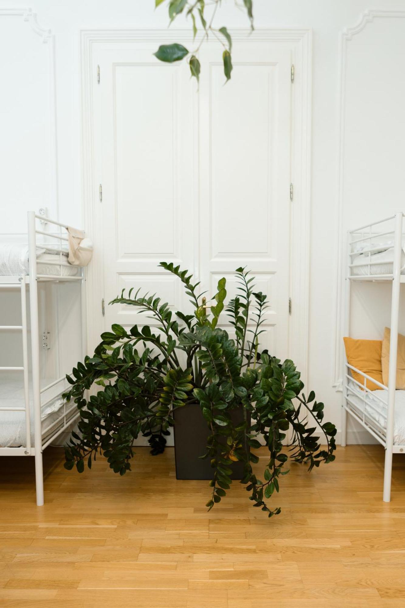 Jupiter Home Buda Budapest Ngoại thất bức ảnh